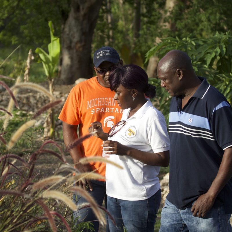 Sharing information on Barnes Hill plants.