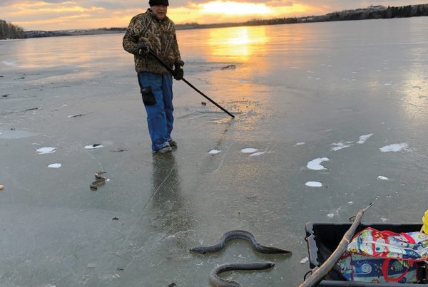 Un pescador tradicional Mi'kmaw de Pictou Landing, territorio Mi'kmaq. Cortesía de : Amy Moulton.