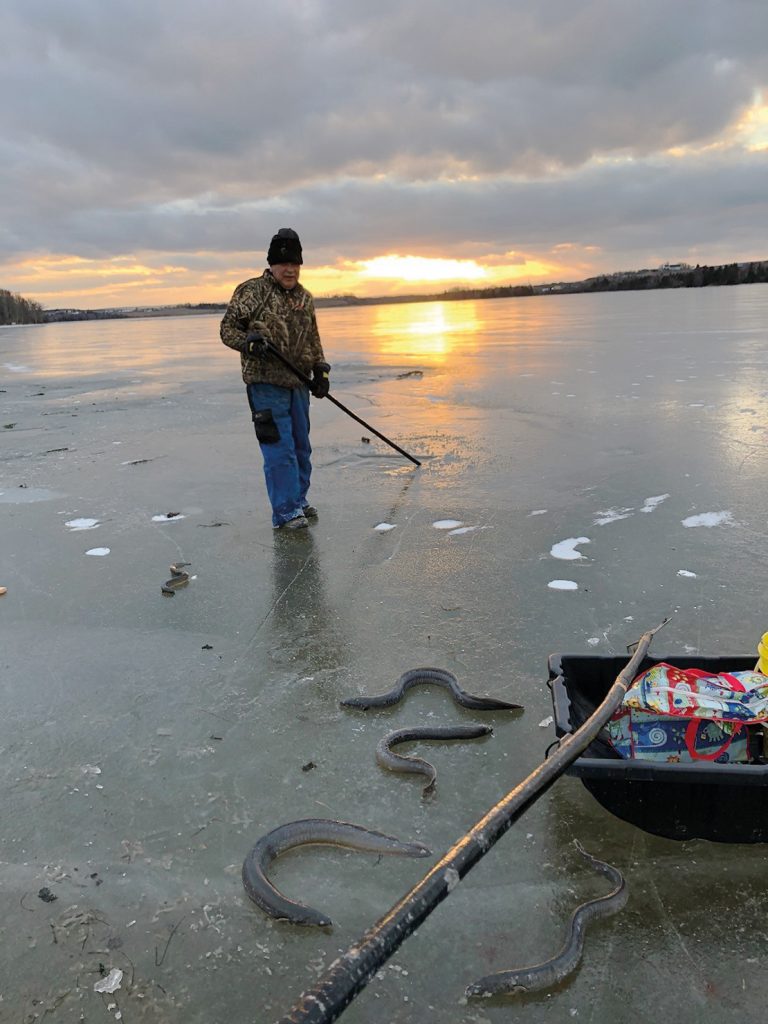 Un pescador tradicional Mi'kmaw de Pictou Landing, territorio Mi'kmaq. Cortesía de : Amy Moulton.