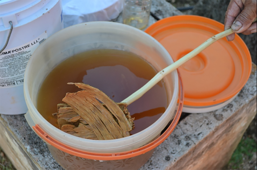 Balché-based drink used in a ritual