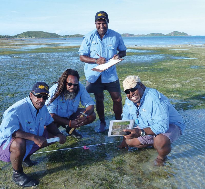 Torres Straight Seagrass Monitoring