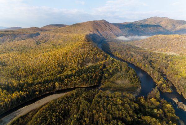 Créé en 2015, le Parc national de la Bikine est la plus grande forêt vierge protégée de la zone prétempérée d’Eurasie. Photo : Dilbara Sharipova.