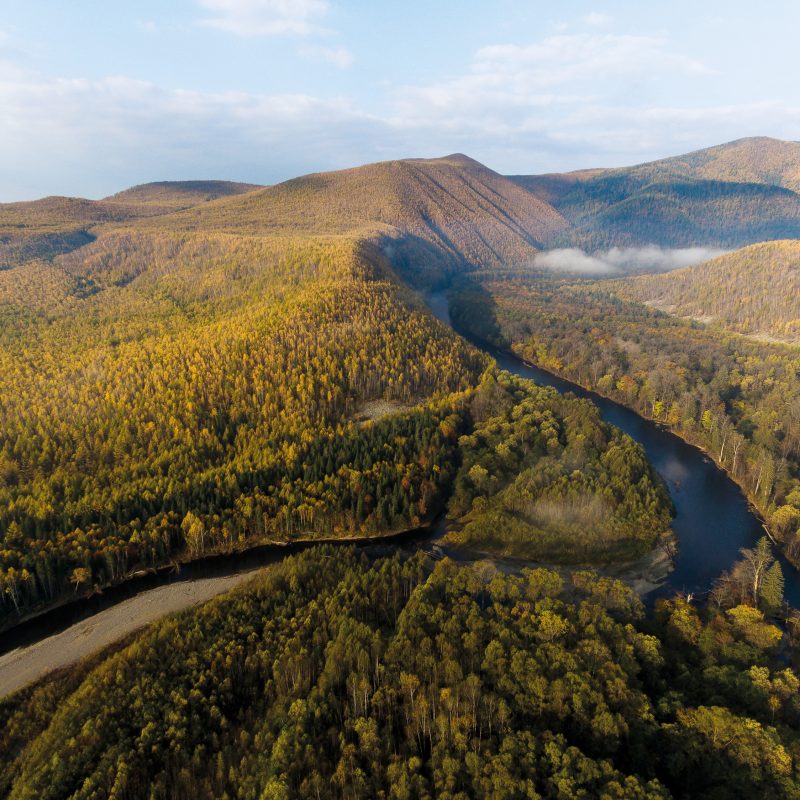 bikin national park
