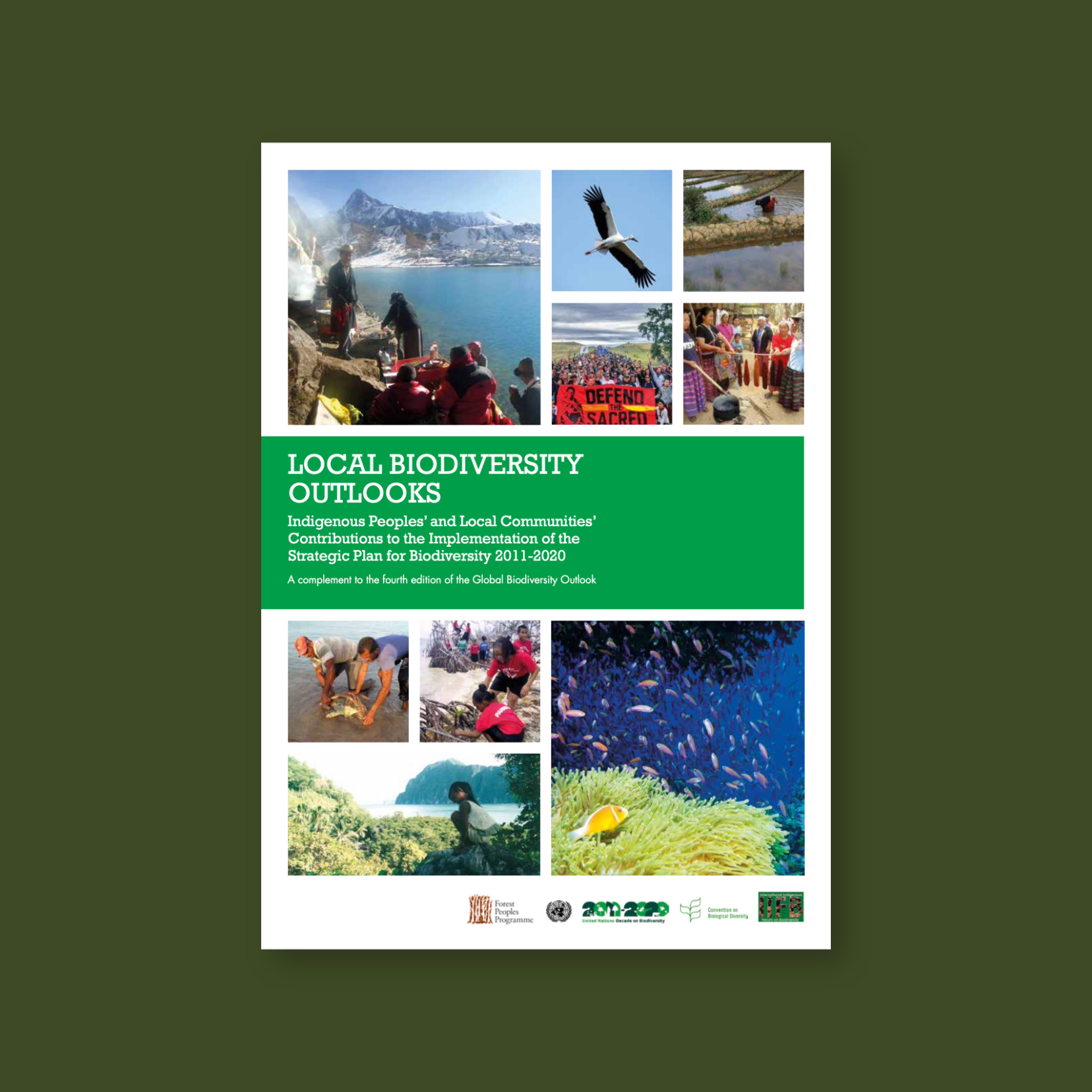 Local Biodiversity Outlooks 1