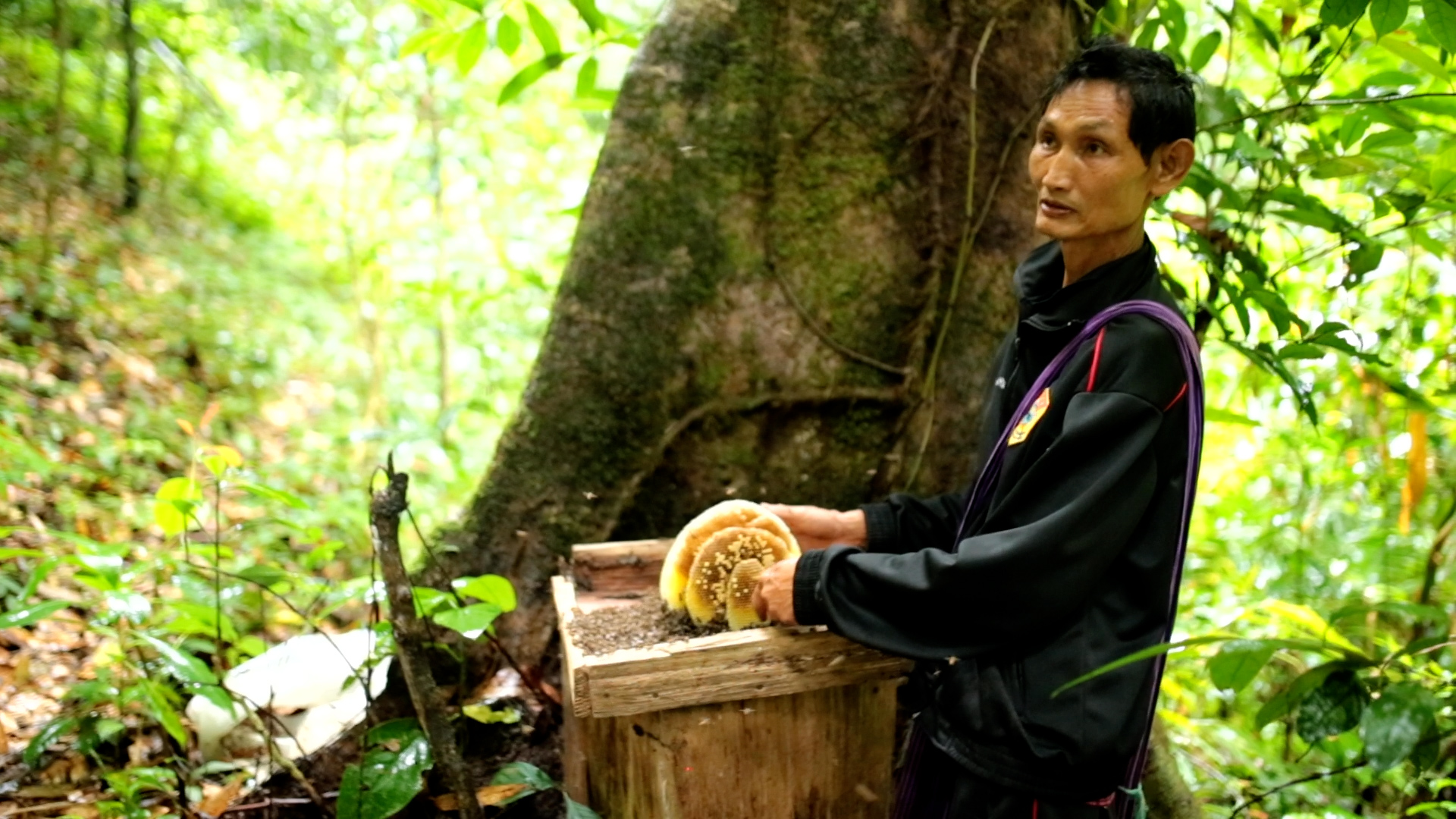 man with beehive