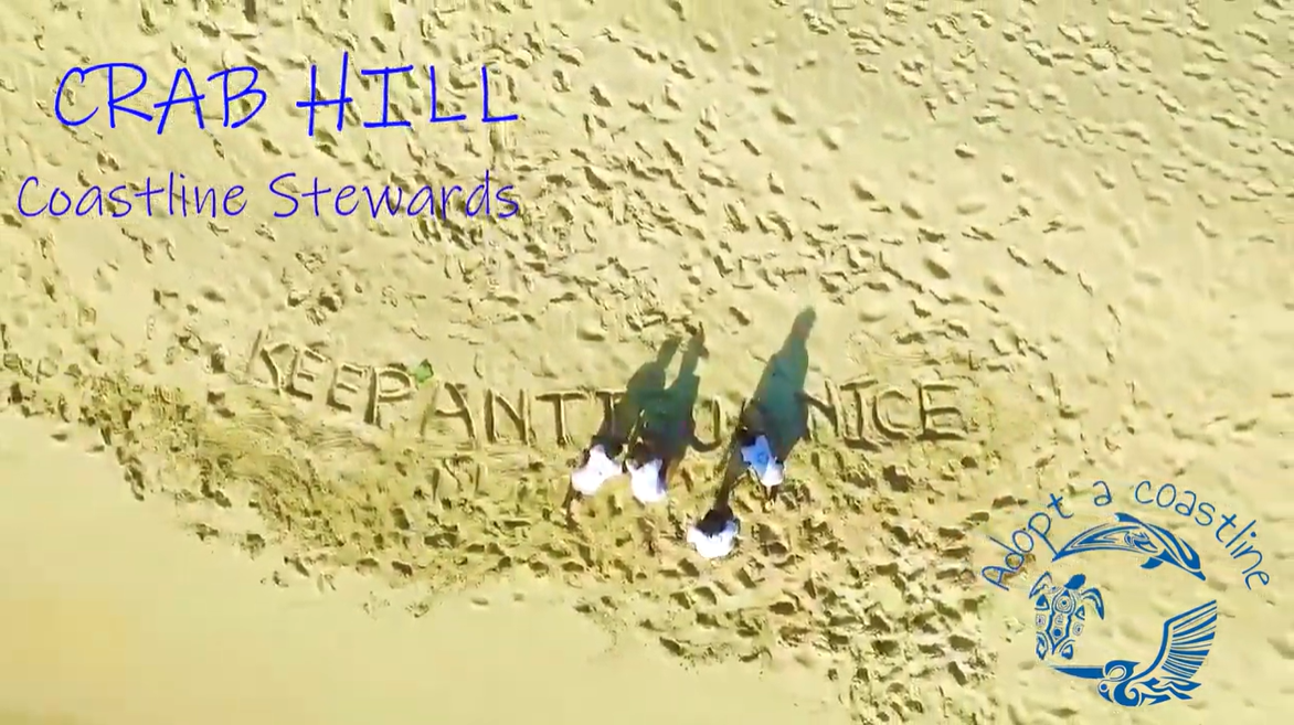 drone shot of kids on the sand